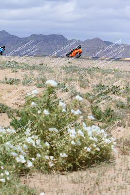 media/Apr-05-2024-Apex Assassins-CVMA Friday Practice (Fri) [[ee2ef04f2b]]/5-Trackday 1/Session 4 (Turn 9 Flowers)/